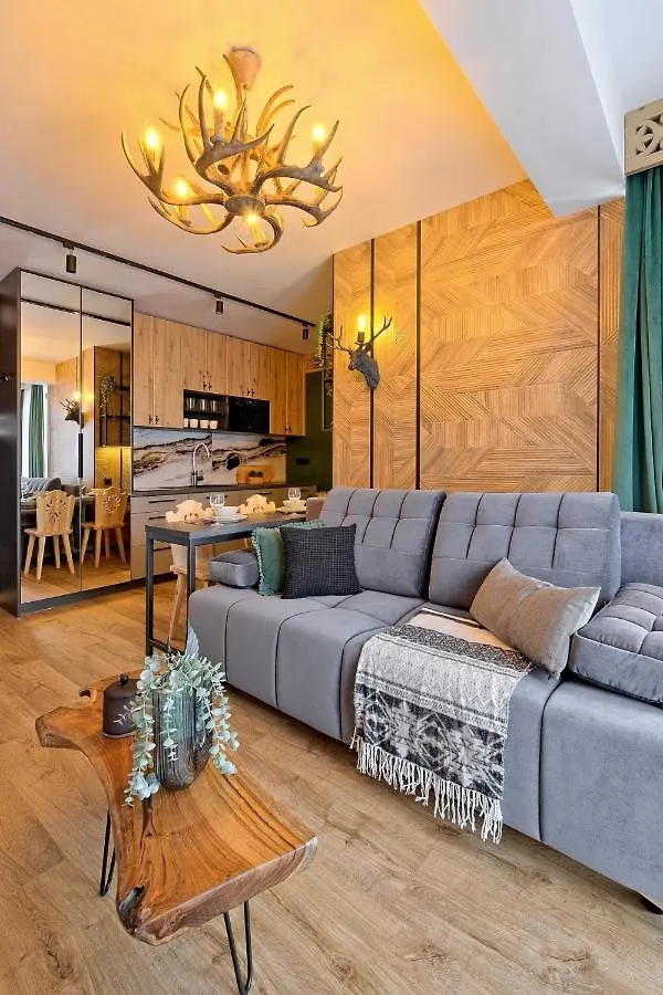 Apartamenty Male Zywczanskie Spa Odkryj Закопане 0*,