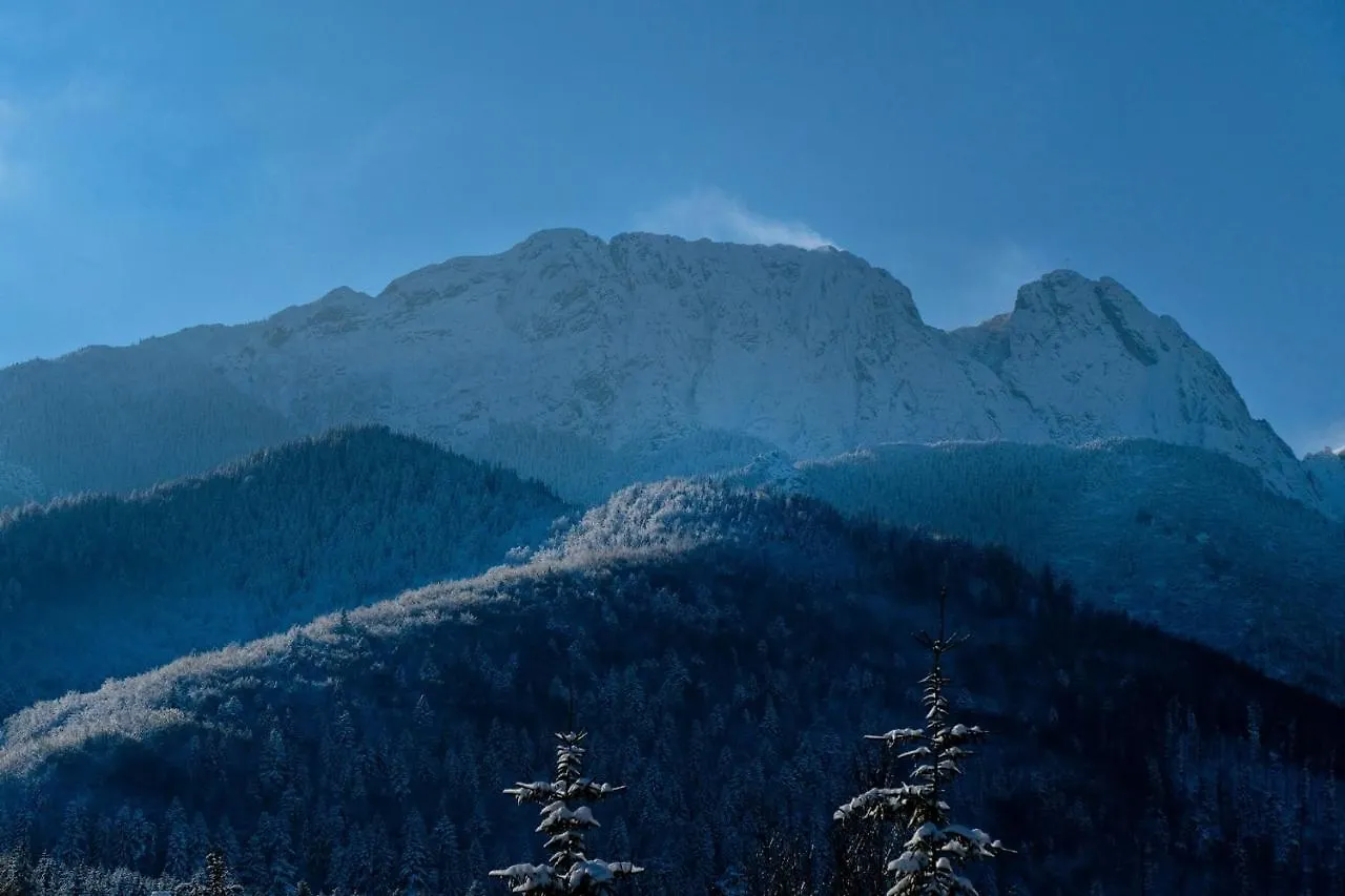 Apartamenty Male Zywczanskie Spa Odkryj Zakopane